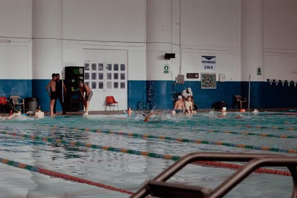 Plusieurs nageurs s’entraînant dans différents couloirs d’une piscine intérieure.