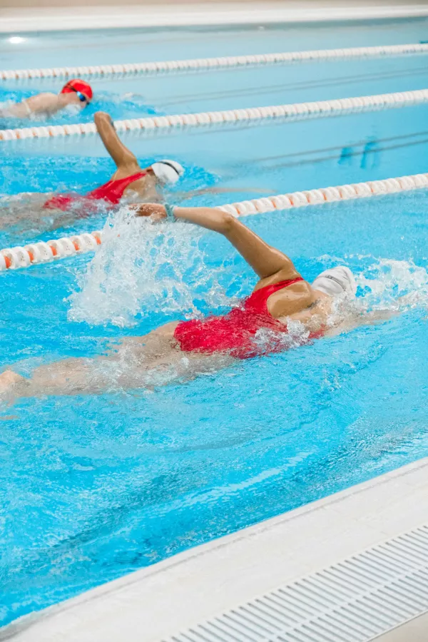 Trois nageurs en crawl avançant dans des couloirs voisins d’une piscine intérieure.