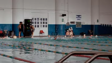 Plusieurs nageurs s’entraînant dans différents couloirs d’une piscine intérieure.