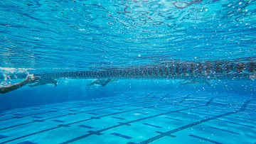 Plusieurs nageurs progressant dans des couloirs de piscine vus sous l’eau.